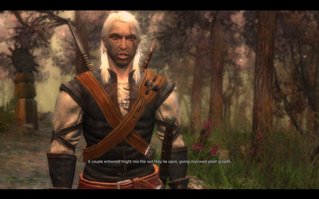 Here's a random picture of Geralt (The Witcher) being a eco-perv and looking goofy.