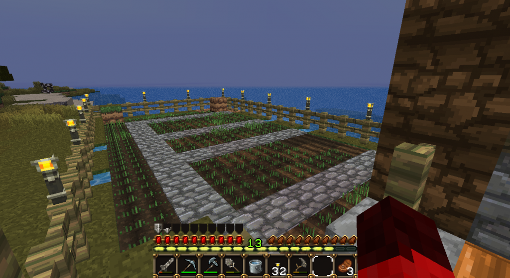 A farm that's linked to my house for safe harvesting and growing of my food! No creepers allowed....or spiders. Really anything but me is not allowed in unless it wants to help plant and grow it all.