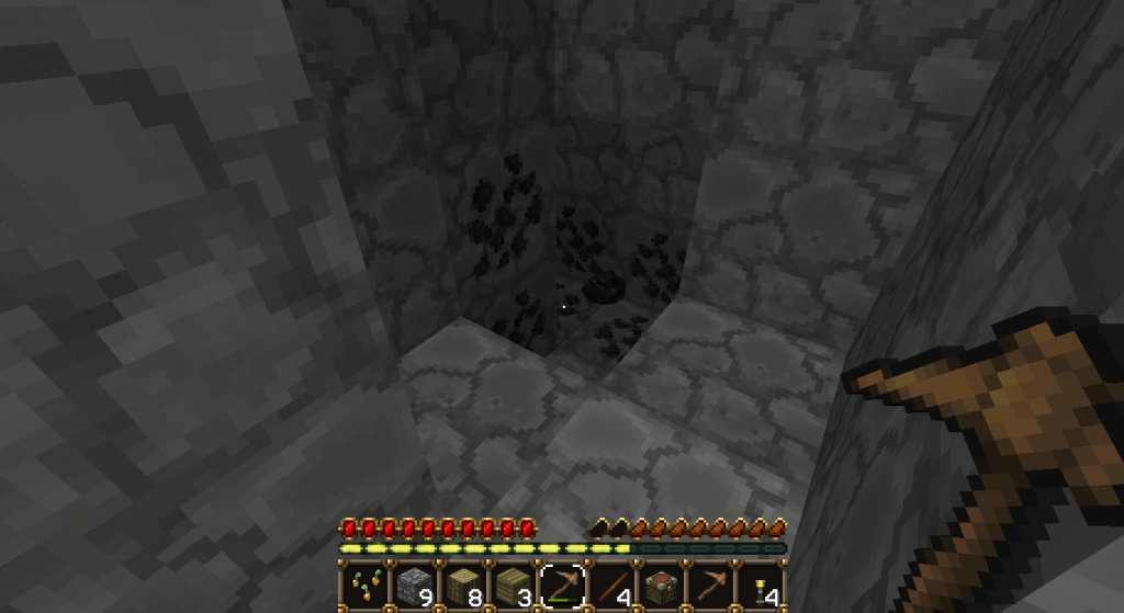 Coal! The unloved fuel source of life in minecraft.